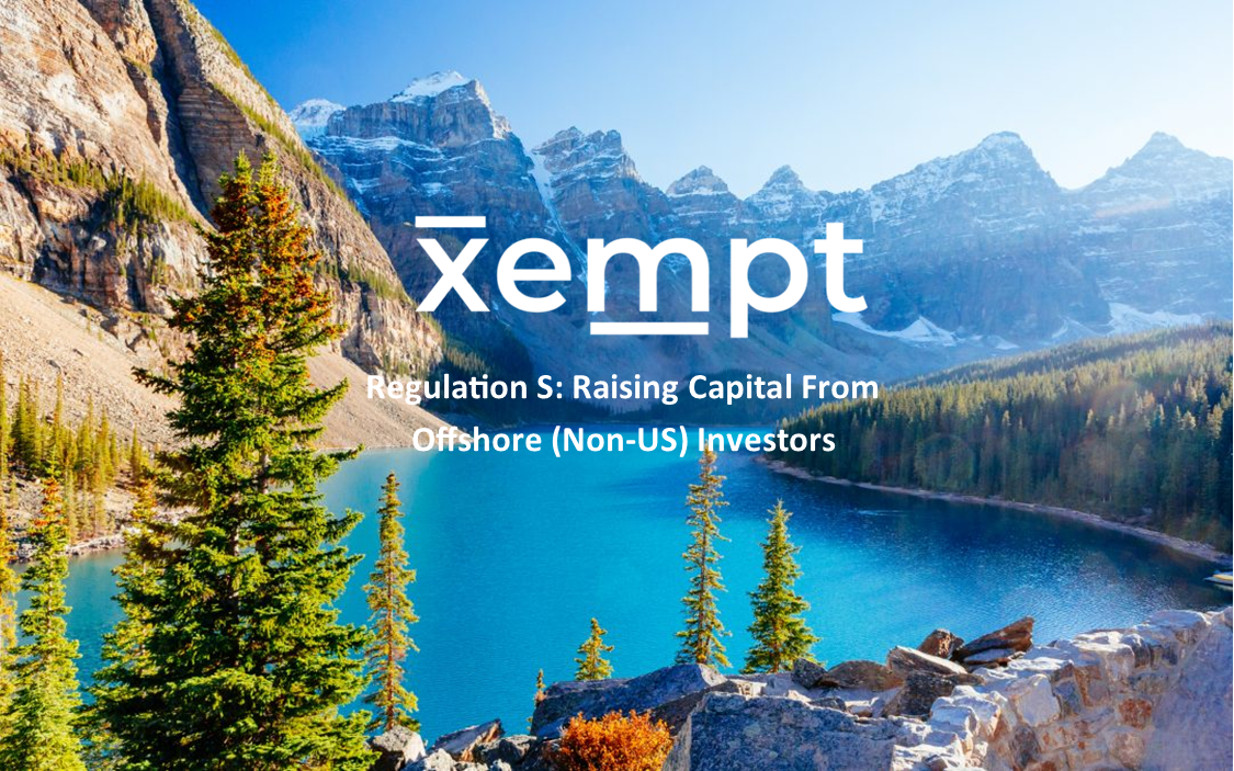 Regulation S: Raising Capital From Offshore (Non-US) Investors